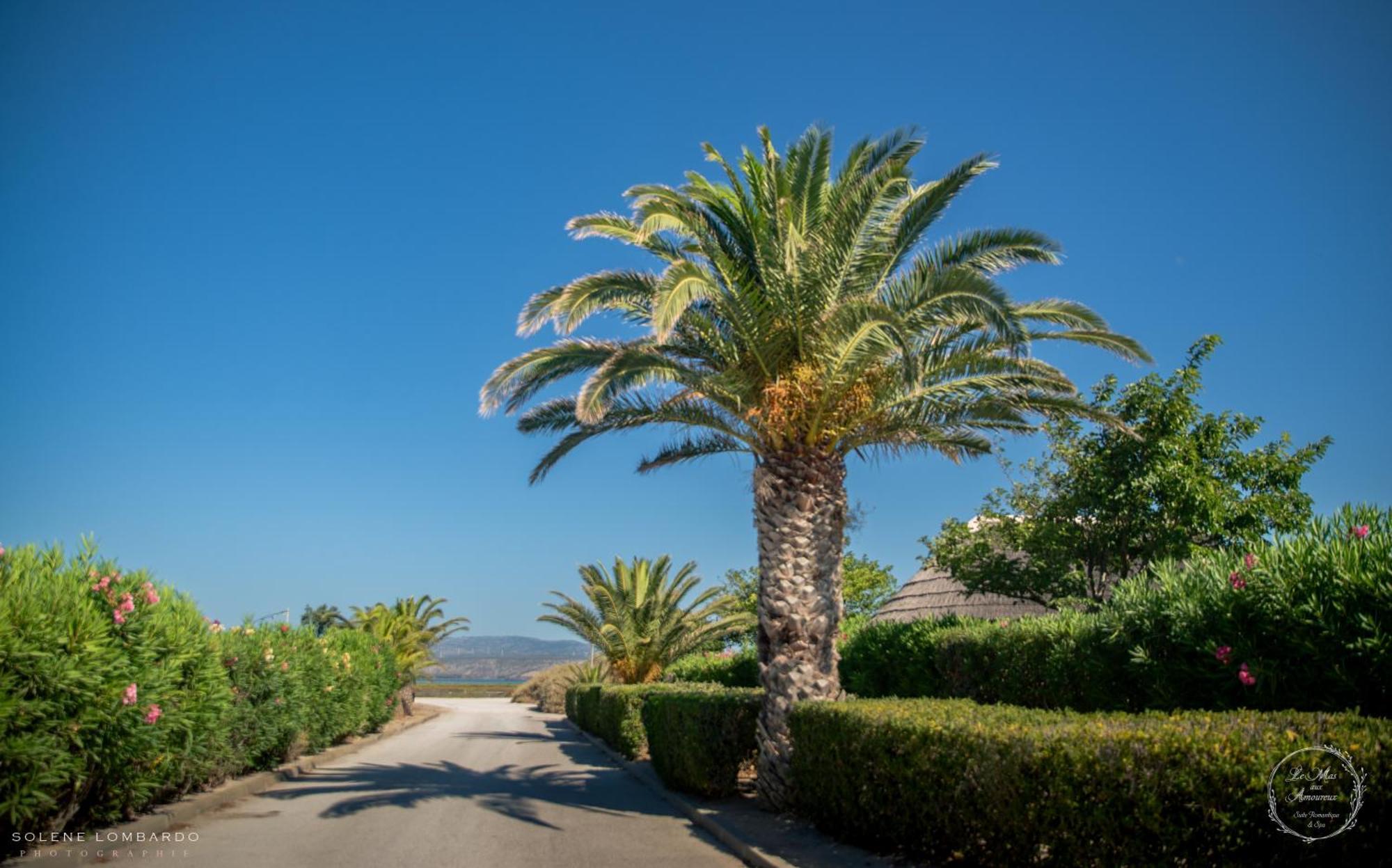 Le Mas Aux Amoureux , Suite Romantique Et Spa Le Barcarès Εξωτερικό φωτογραφία